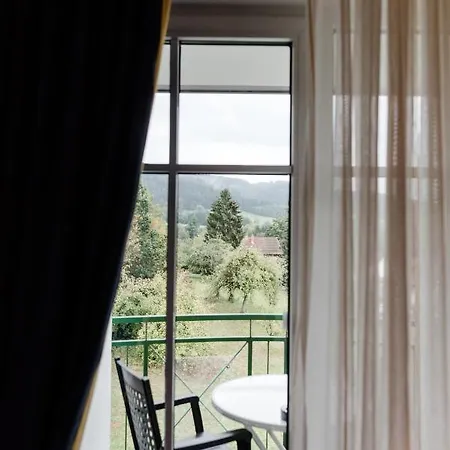 Akzent Bayerwald-residenz 4* Neukirchen (Lower Bavaria)