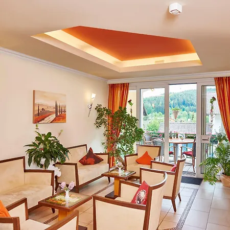 Akzent Bayerwald-residenz 4* Neukirchen (Lower Bavaria)