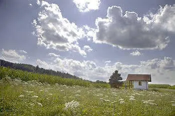 Akzent Bayerwald-residenz