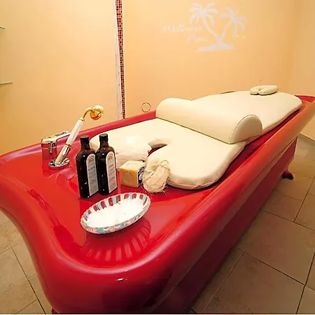 Otel Akzent Bayerwald-residenz 4*